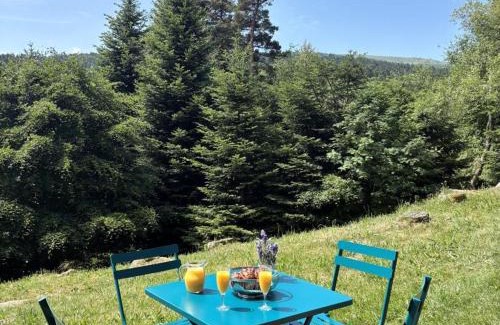Chalmazel-Jeansagniere Apartment | Triplex montagnard avec sauna, balcon et poêle - FR-1-496-338