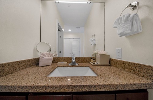 South Padre Island Hotel | Tropical Paradise + Beachfront Access