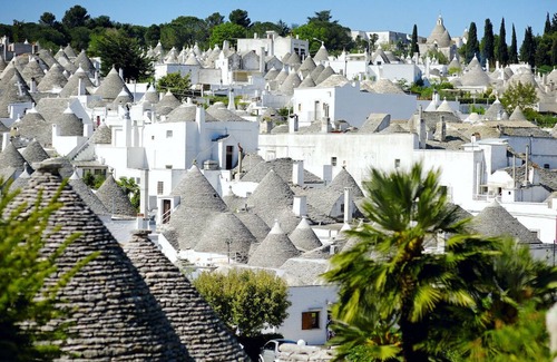 The Trulli of Alberobello House | Trullo in the historic center of Alberobello, Trullo di Bacco