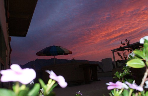 Tucson Apartment | TUCKED IN THE FOOTHILL SPA STUDIO