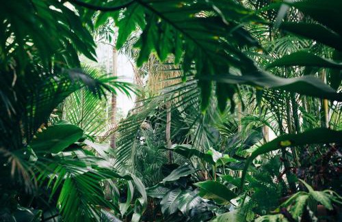 Santa Monica House | Tuki Beach and Surf Resort