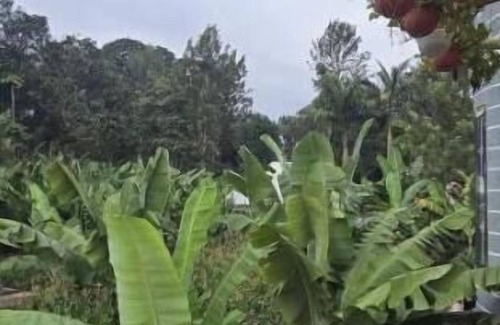 Bouvet Island Apartment | Tulivu HouseVibes 3