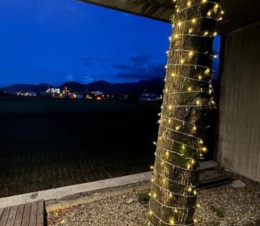 Dongshan Villa | Turn Back the clock Homestay