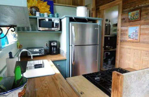 Apalachicola Cabin | Turtle Pond cabin in Apalachicola with WiFi, Pet Friendly, Couples Retreat