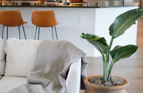 White Marsh House | Turtle Tracks Lead to Paradise: Canal Home with Pool, 3BR, 2BA, 15 min to beach!