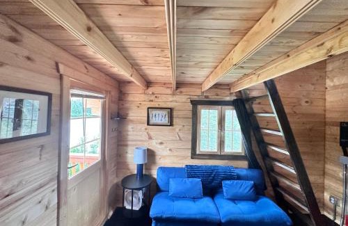 Denali House | Twin Cabins-Trout and Grayling