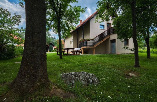 Catrnja Apartment | Two bedroom apartment with terrace Smoljanac, Plitvice (A-14979-a)