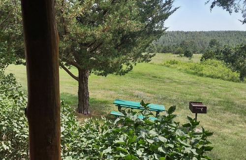 Rosebud Cabin | Two rustic cabins nestled within Rosebud Sicangu Lakota Oyate ponderosa forest.