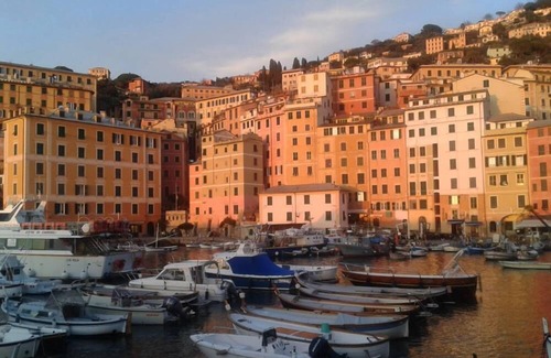 Camogli Apartment | Two windows of the fishing harbor