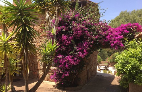 Figari Villa | Typical Corsican villas in landscaped park with swimming pool South Corsica