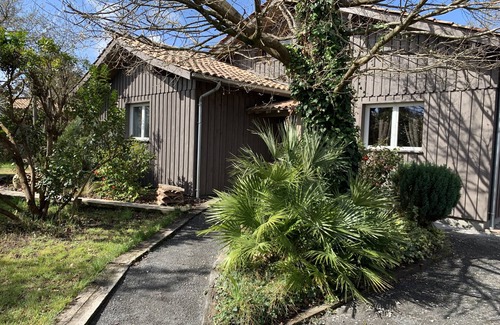 Lege-Cap-Ferret House | Typical wooden villa in Lège Cap Ferret with swimming pool
