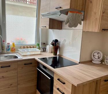Strakonice Apartment | U Tonyho - Apartmán v centru Strakonice 2-kk