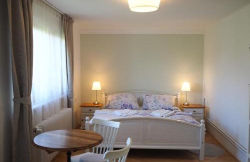 Knezeves Apartment | U Václava