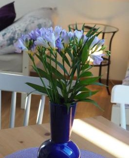 Knezeves Apartment | U Václava