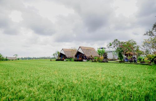 Peliatan Hotel | Ubud Rice Field Stay by WAHM Hotel Management