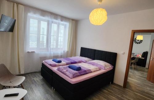 Lipno nad Vltavou Apartment | Ubytování u Maxe