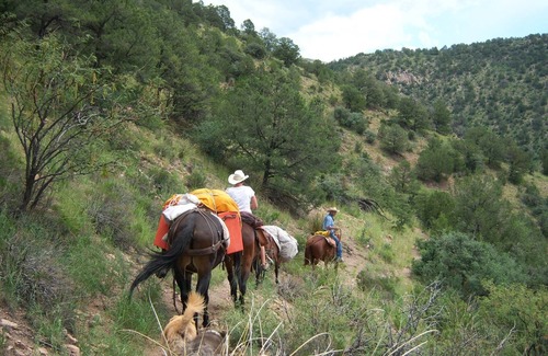 Gila Cabin | Unique Log cabin at Bearpaw Ranch on the Gila River