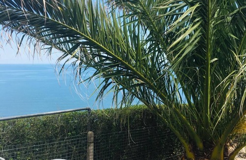 Teignmouth Cabin | Unique Private Clifftop Garden with Log Cabin
