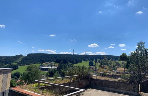 Schonach im Schwarzwald Apartment | Unique: Sonnenverwöhnte 2 Zimmer Familienwohnung im Schwarzwald mit Netflix