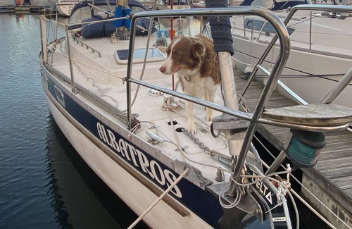 Ouddorp Boat Rental | Unique Stay on a Moored Sailing Yacht
