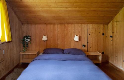 Weggis Ski Chalet | Unique Tiny house between Mnt Rigi and Lake Lucerne