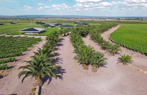 Ugarteche Cabin | Unique Villas del Malbec Lodges between vineyards and mountain view