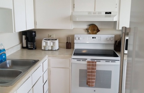Ocean Grove Terrace House | Unit 2 Oceanside 2Bd 1Ba Condos In Ormond-By-The-Sea w/Large Private Beach Deck