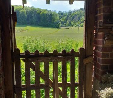 Sutton Other | Up at the Barn