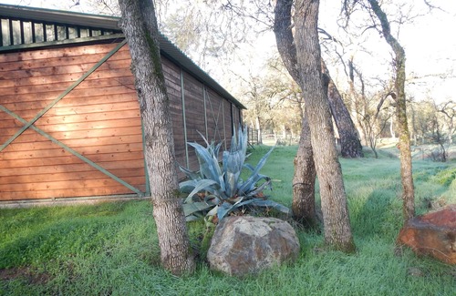 Peters House | Updated Cottage on 6+ wooded acres, Horse setup, RV Hookups, Secluded not remote