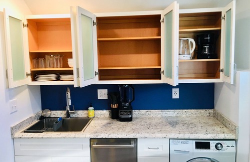 Plaza Westport House | Urban Garden Oasis: Guest House Studio with Private Garage