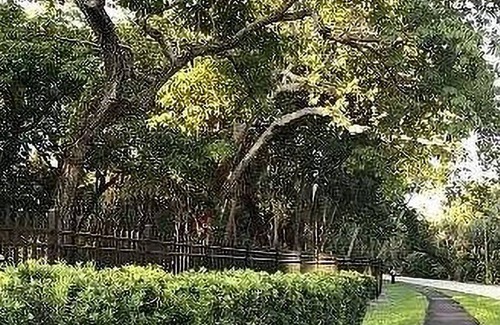 Fort Lauderdale House | Utilities Included + Furnished + Month to Month | 1 Bedroom 1 Bath Apartment