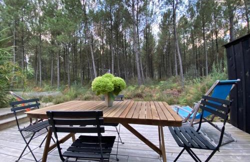 Lege-Cap-Ferret House | Vacances Océan Maison bois Lège Cap Ferret 1-4p