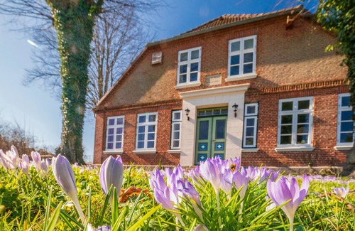Daenschendorf Apartment | Vacation apartment/apartment for 8 guests with 220m² in Fehmarn OT Dänschendorf (60051)