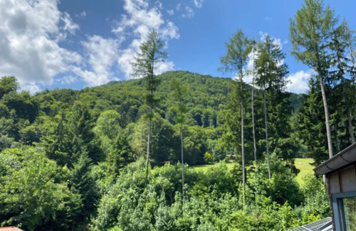 Aschau im Chiemgau Apartment | Vacation apartment Bergtraum 140 sqm with two separate bedrooms and outdoor seating area