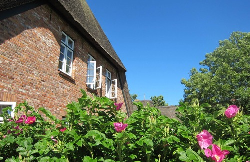 Wrixum Apartment | Vacation apartment/apartment for 3 guests with 55m² in Wrixum on Föhr (109499)