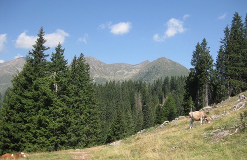 Parcines Apartment | Vacation apartment/apartment for 5 guests with 65m² in Parcines (145633)
