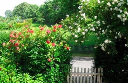 Goosefeld Apartment | Vacation apartment/apartment for 2 guests with 32m² in Goosefeld (2568)