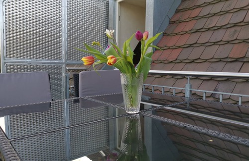 Senftenberg House | Vacation apartment - Seenlandoase Reppist