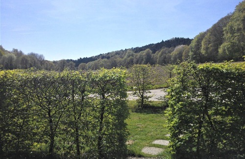 Dorenthe Apartment | Vacation apartment 1 Im Bocketal - Holiday apartments Im Bocketal