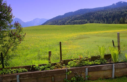 Gschwall Apartment | Vacation apartment for 6 persons, 2 bedrooms, kitchen, terrace, 73 sqm