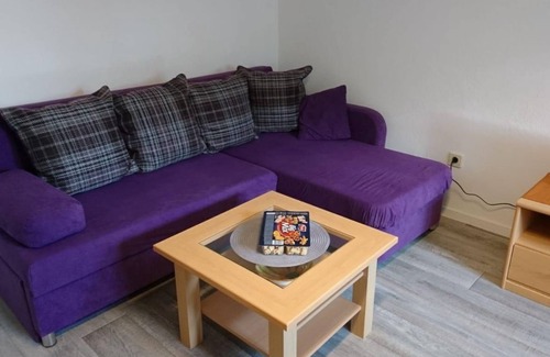 Rennerod Apartment | Vacation apartment "Tante Rosa" - apartment/flat, shower, WC, 1 bedroom