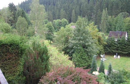 Wildemann Apartment | Vacation apartment with large balcony