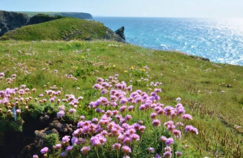 St Merryn House | Vacation home Eglos in Wadebridge - Padstow - 4 persons, 2 bedrooms