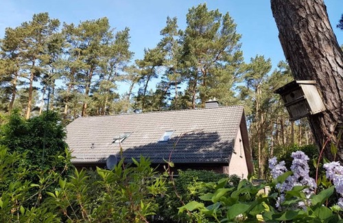 Lubmin House | Vacation home at Duenenwald - DH - Holiday home at Duenenwald DH-45162