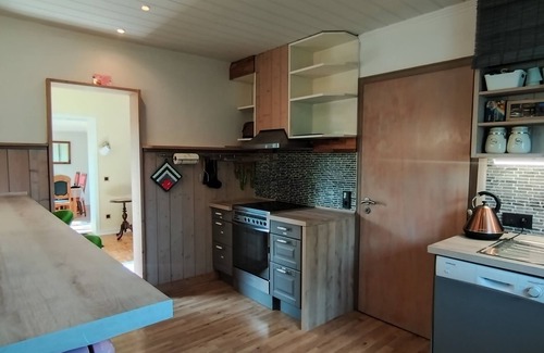 Klein Wittensee House | Vacation home for 6 guests with 100m² in Klein Wittensee (250153)
