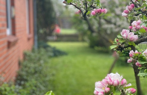 Lensahn House | Vacation home for 6 guests with 120m² in Lensahn (163727)
