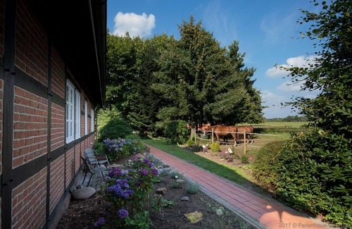 Oerel House | Vacation home for 8 guests with 250m² in Oerel (109703)