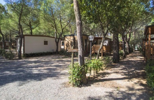 Marina di Bibbona House | Vacation home Venus by Interhome