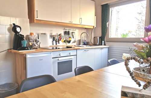 Gemund House | Vacation home with private pool, table tennis house and private barbecue area
