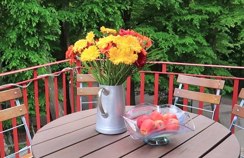 Gemund House | Vacation home with private pool, table tennis house and private barbecue area